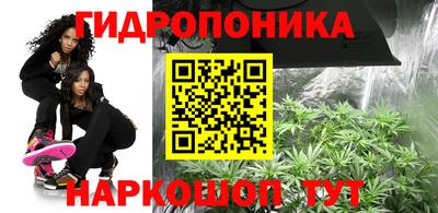 гидра Кулебаки
