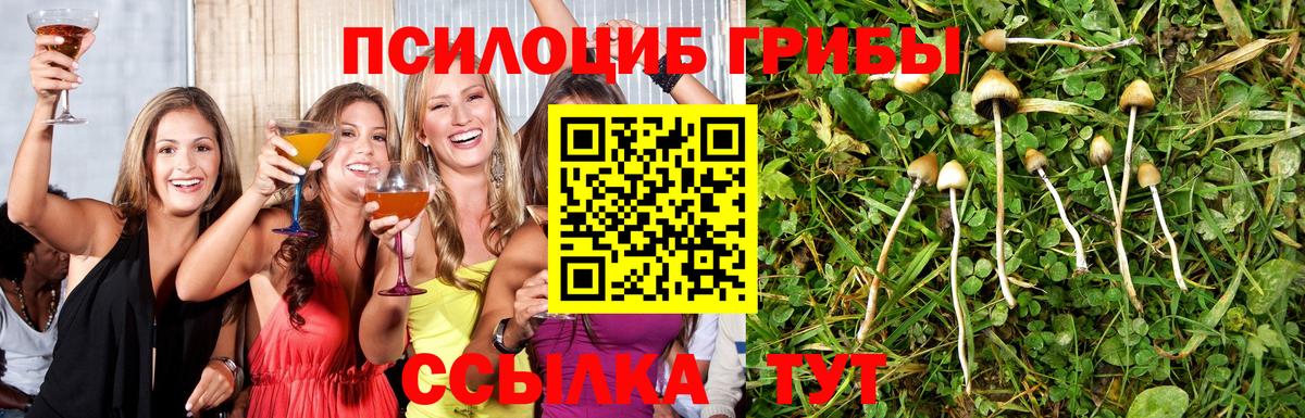 Псилоцибиновые грибы GOLDEN TEACHER  Галлюциногенные грибы прущие грибы  Вход с VPN  Будённовск 