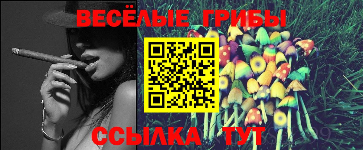 Галлюциногенные грибы мухоморы Будённовск