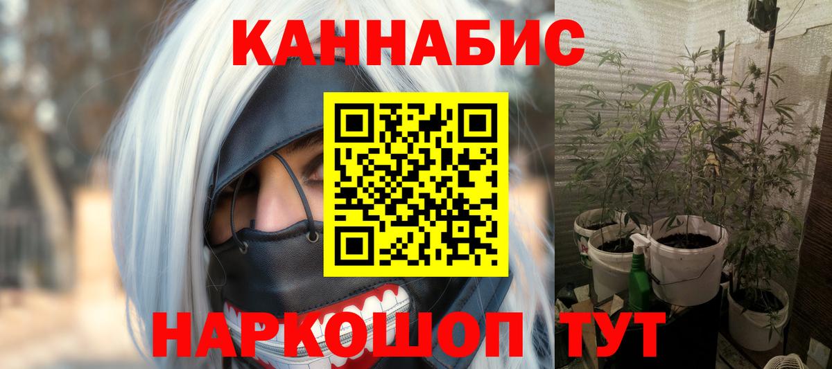 Каннабис гибрид Будённовск
